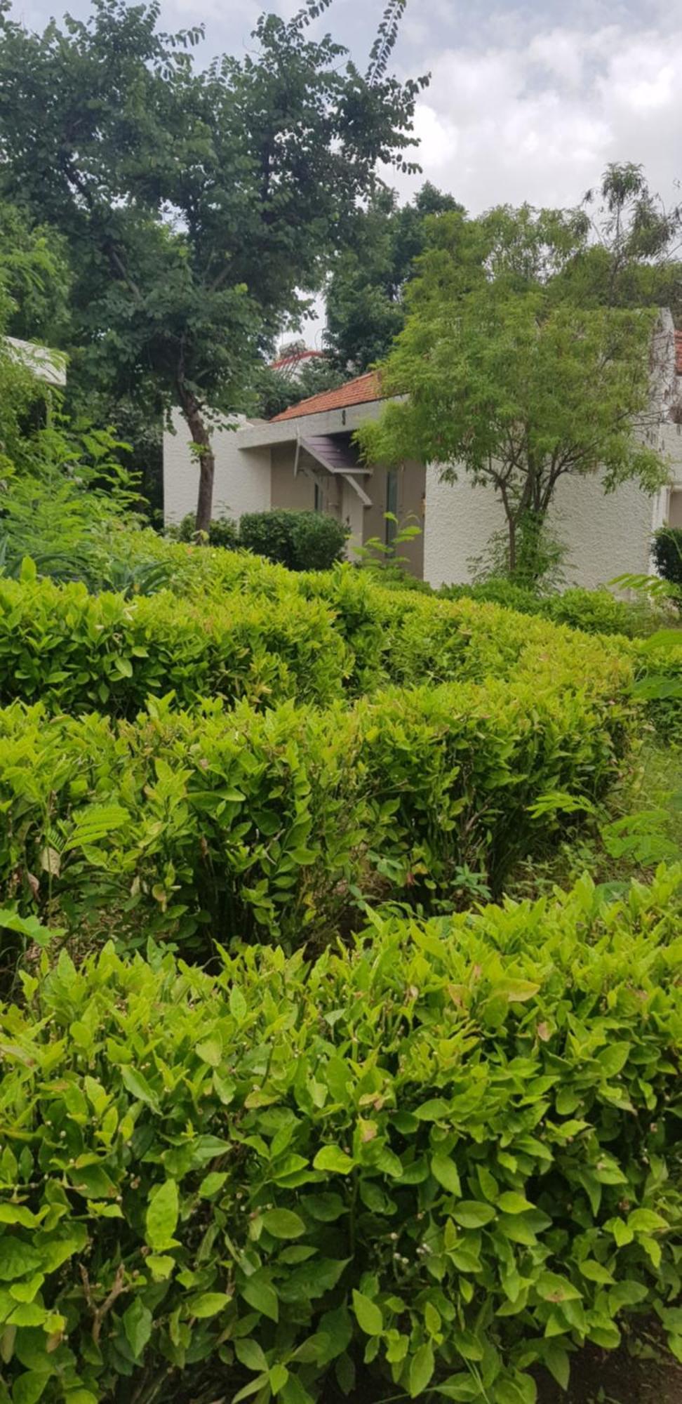 印度马哈拉施特拉邦奥兰加巴德草甸水疗度假村 客房 照片